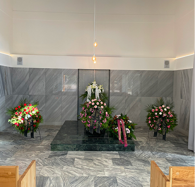 01K81DFZ04Z4Q64VV7MJ14KWXJ